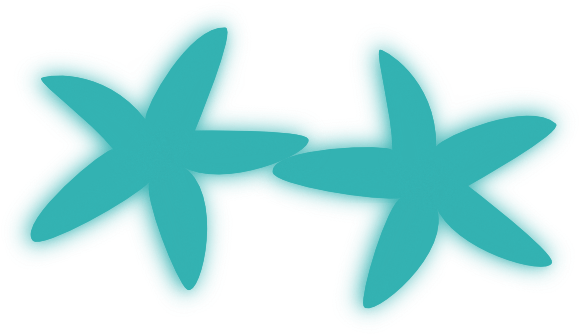 Aqua Starfish Duo Clip Art - Clip Art (600x355), Png Download