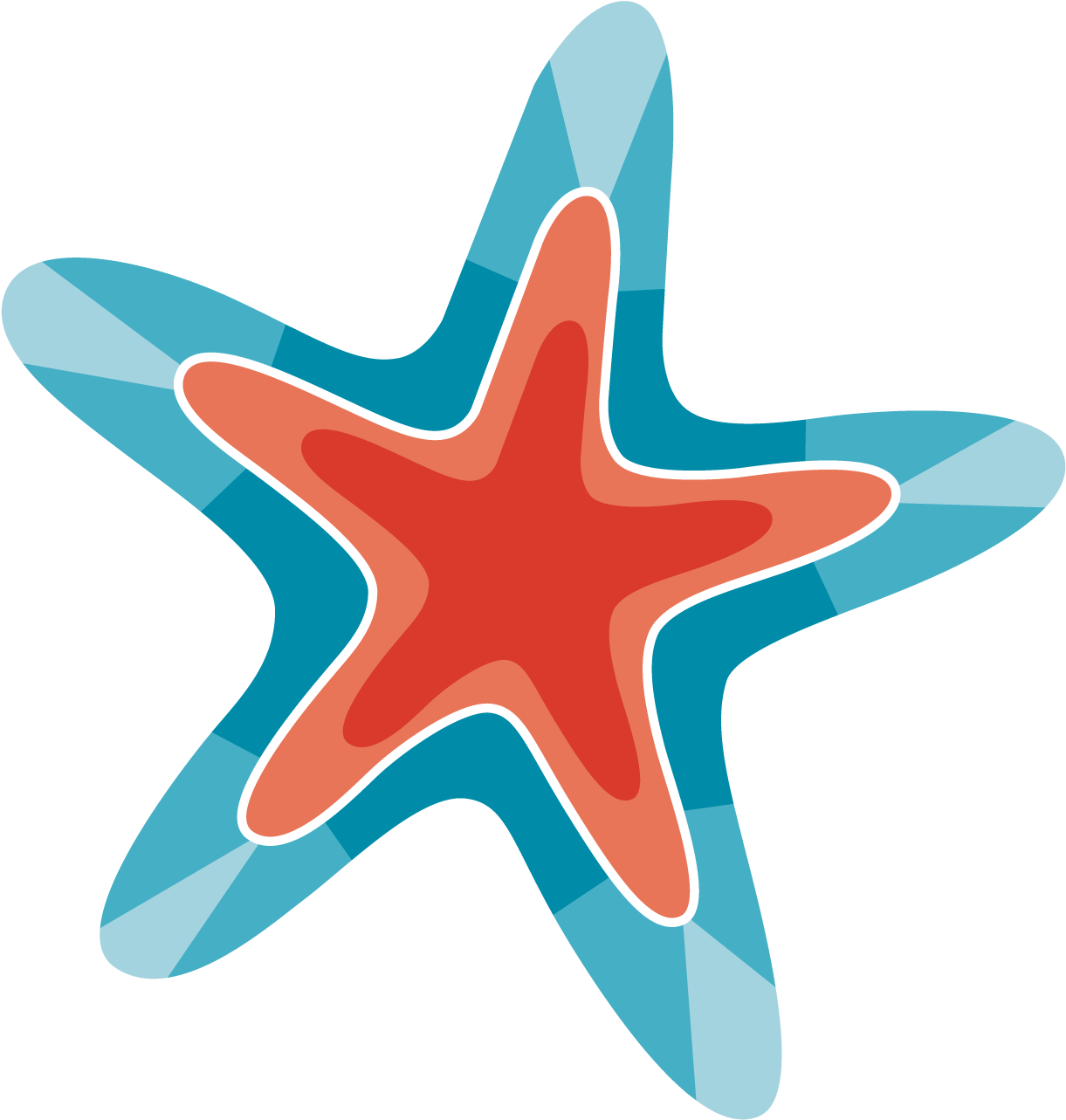 Starfish (1323x1345), Png Download