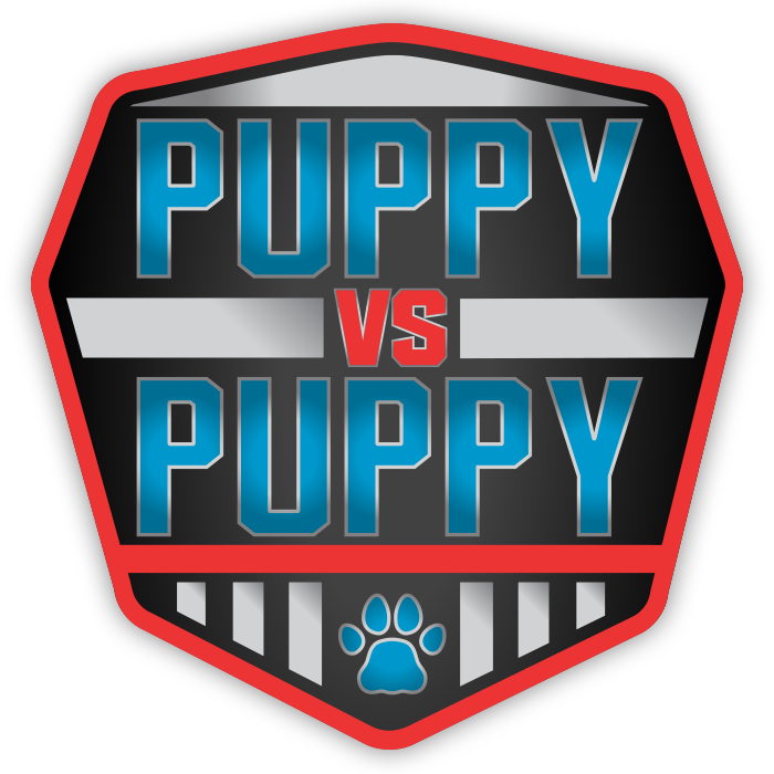 American Ninja Warrior - American Ninja Warrior Ninja Vs Ninja Logo Png (700x700), Png Download