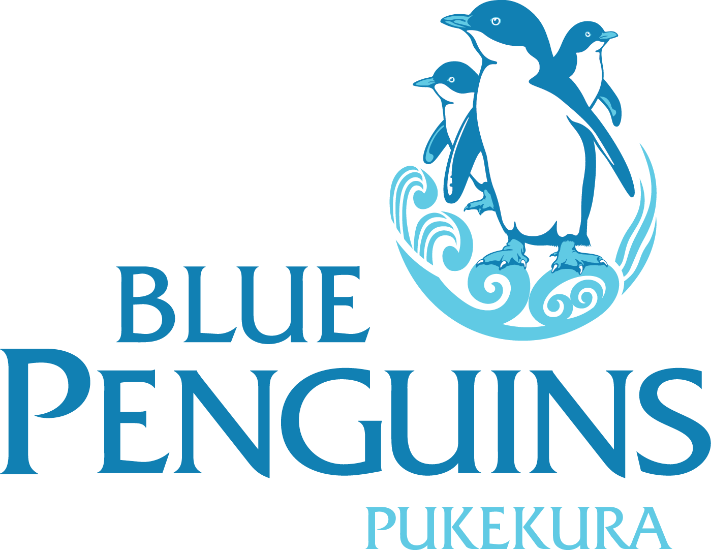 Blue Penguins Pukekura (1399x1082), Png Download