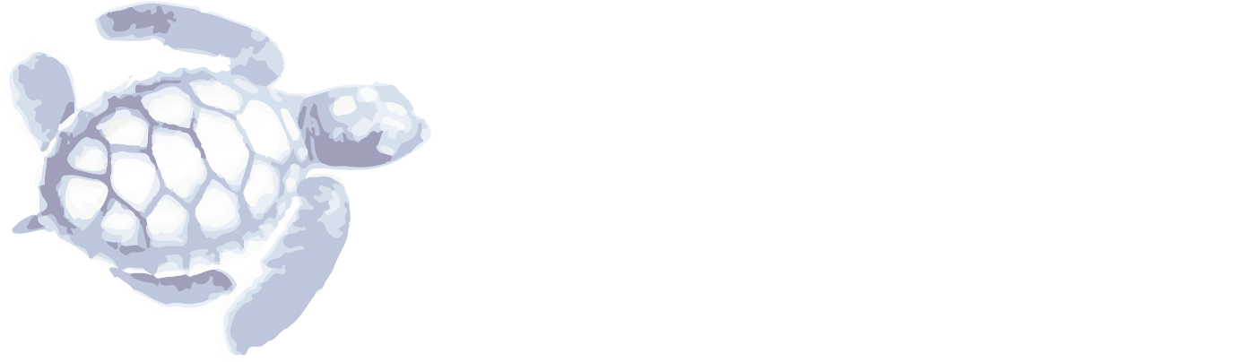 Vero Beach Marketing - Caribbean Taboo By Mimi Johnrose (1691x471), Png Download