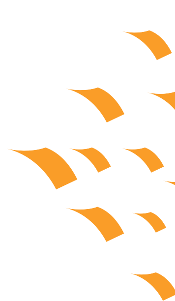 Metro Arrow Whitegold Rgb@2x - Louisiana (356x612), Png Download