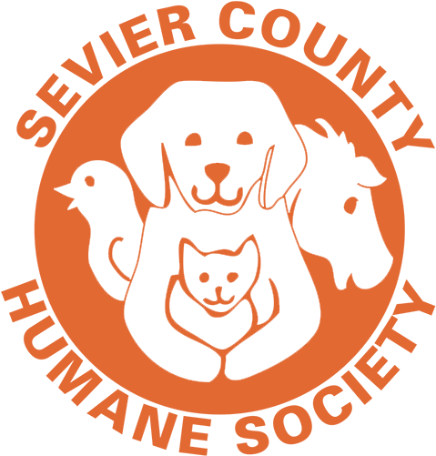 How To Support Us - No Smoking In Vehicle Label (520x520), Png Download