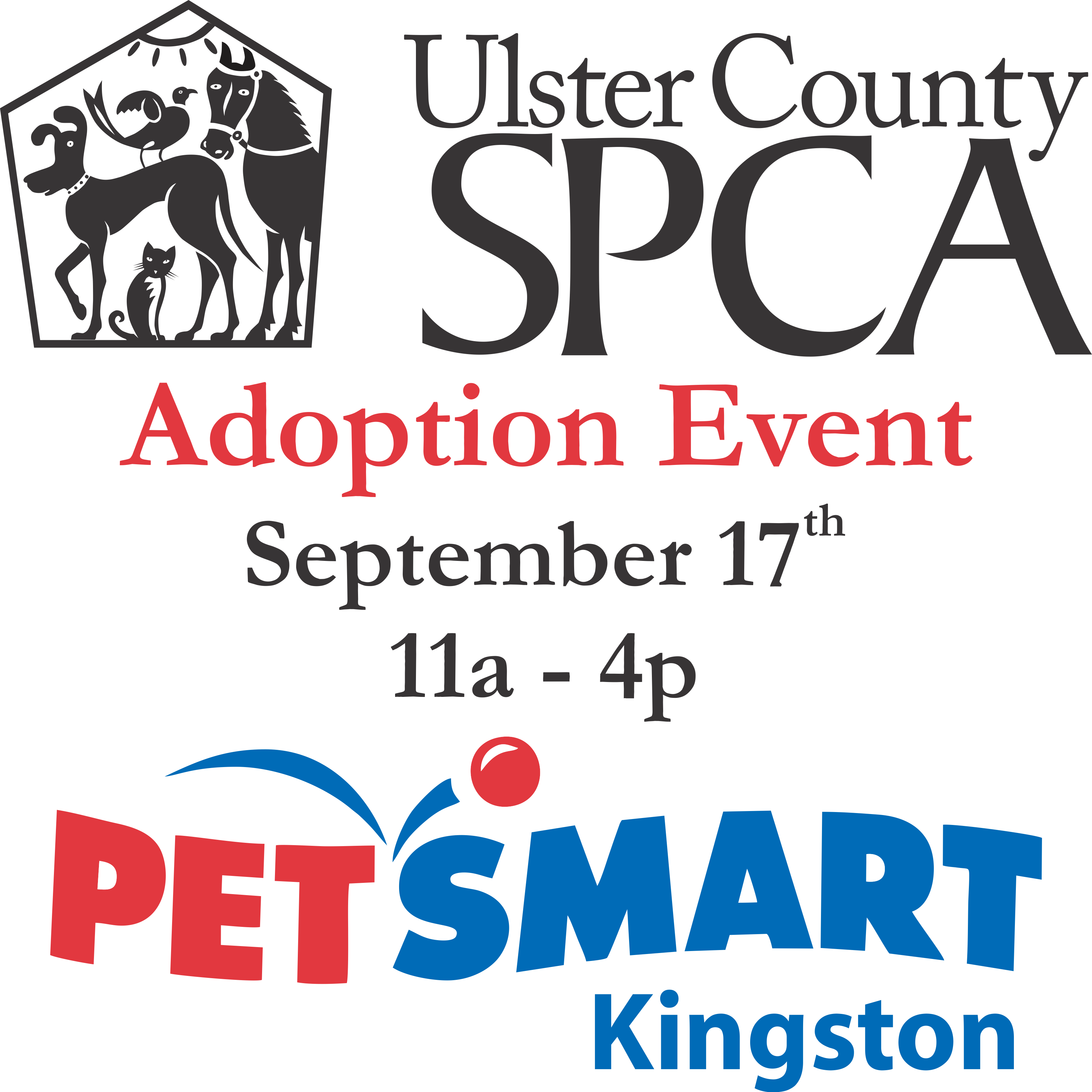 17 Adoption Event - Petsmart Coupons August 2018 (3300x3300), Png Download
