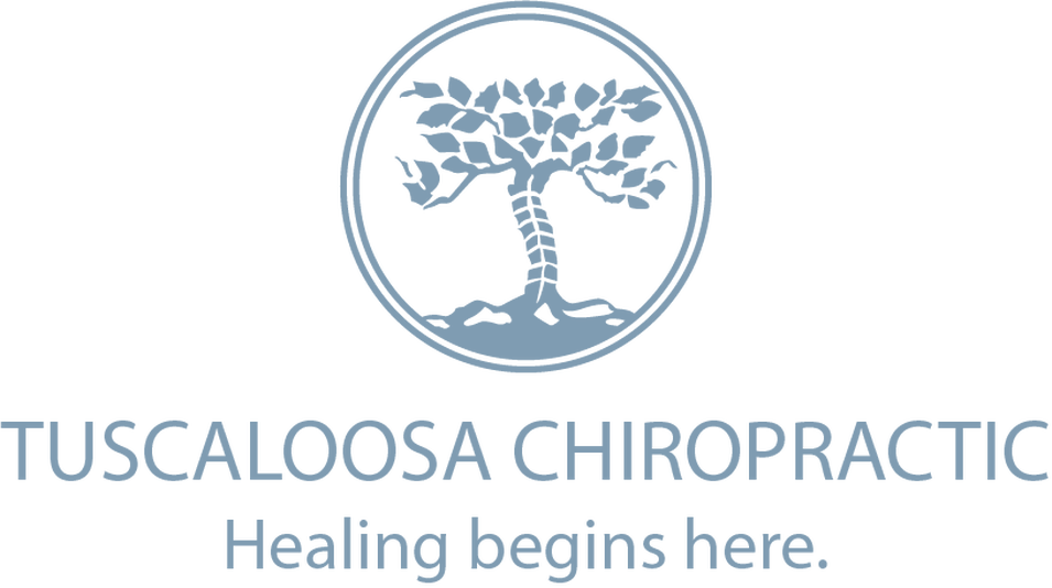 Tuscaloosa Chiropractic Is A Family Owned Chiropractic - Tuscaloosa (955x534), Png Download