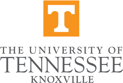 Vice Provost For International Affairs - University Of Tennessee Logo (640x361), Png Download