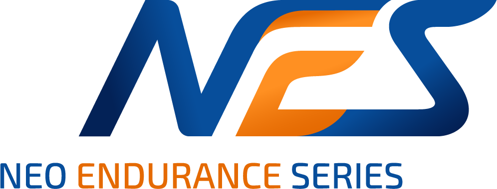 Nes-logo - Endurance Series Logo (996x380), Png Download