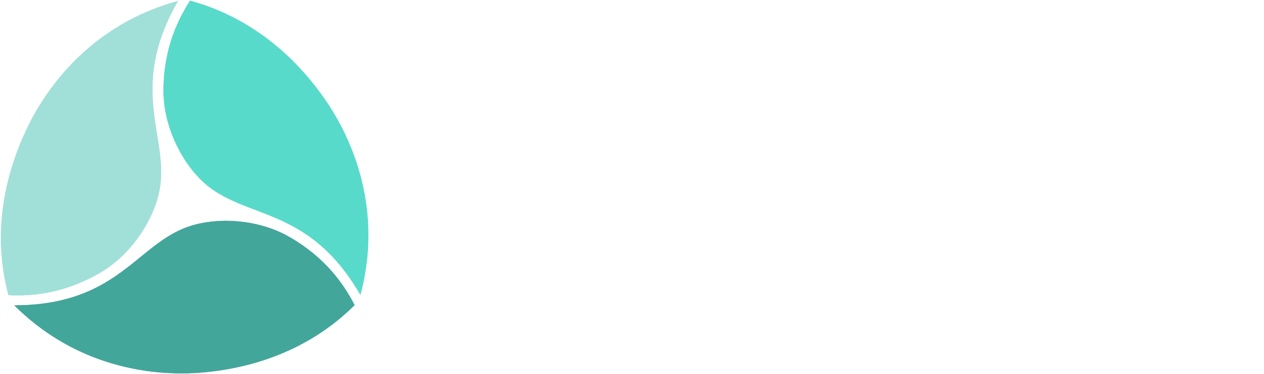Royal Caribbean Makes Use Of 3d Printing In A Collaboration - Athletic Shoe Shop (4542x1518), Png Download