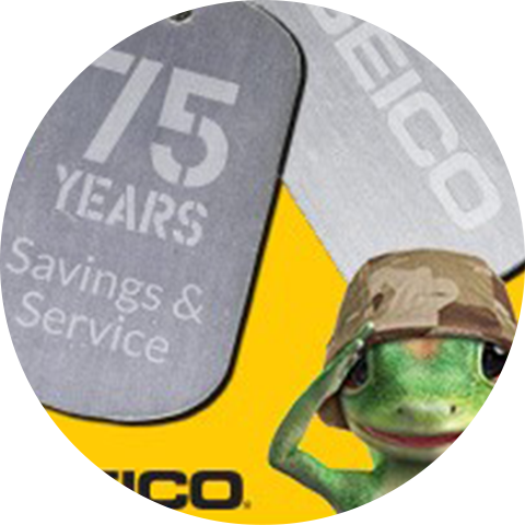 Geicomilitary, Print, Digital, Out Of Home - Toad (480x480), Png Download