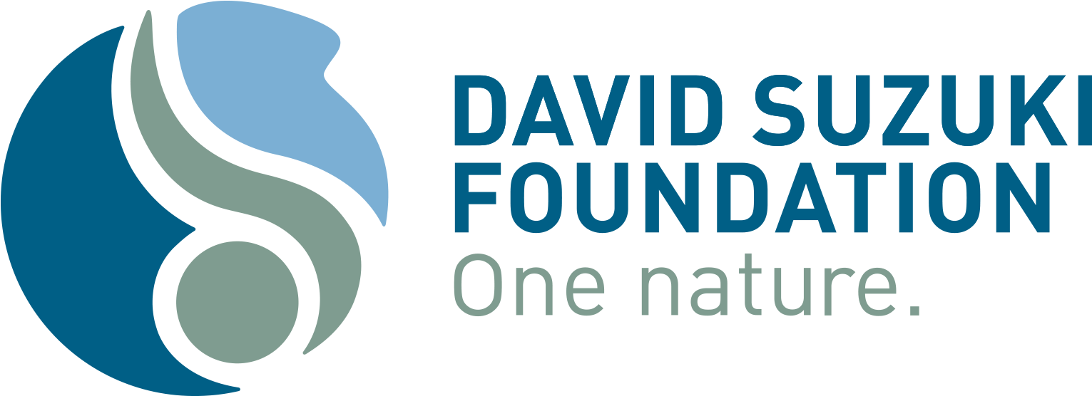 The New David Suzuki Foundation Logo Can Be Downloaded - David Suzuki Foundation Logo (1917x555), Png Download