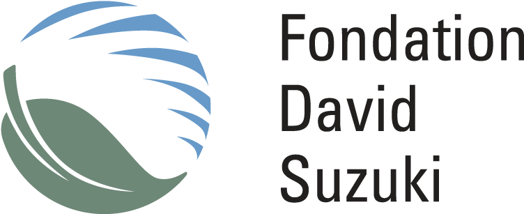 En Collaboration Avec - David Suzuki Foundation Logo (763x316), Png Download