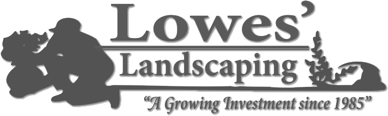 Landscape Design (798x295), Png Download