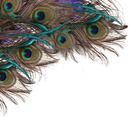 Peacock Feather Clip Art Png - Happy Krishna Janmashtami Quotes (436x393), Png Download