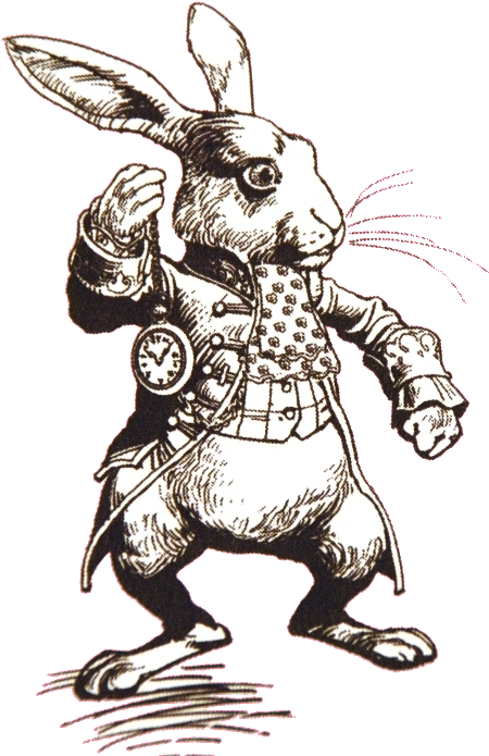 Rabbit - Alice In Wonderland Drawings Rabbit (490x708), Png Download