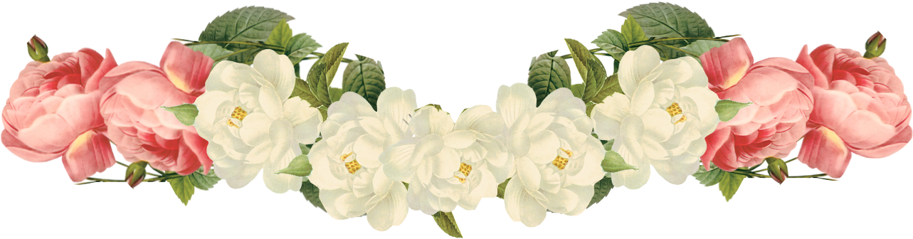 White Rose Border Png - Holy Trinity Paris Hilton (1351x440), Png Download