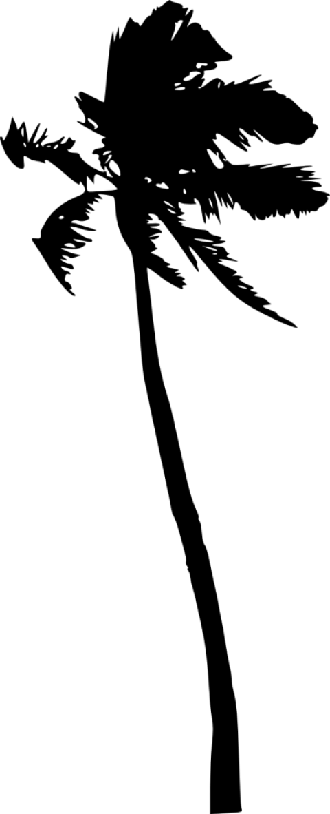 Free Png Palm Tree Silhouette Png Images Transparent - Portable Network Graphics (480x1182), Png Download