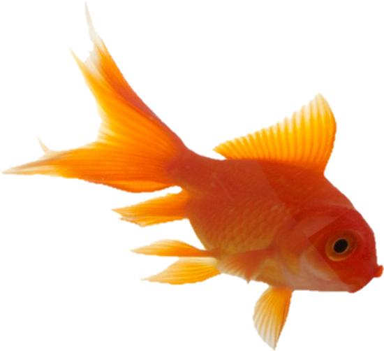 Aesthetic Sticker - سال نو مبارک 1390 (650x553), Png Download