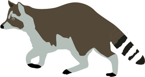 Raccoon Clipart Mammal - Baby Raccoon Clipart No Background (508x508), Png Download