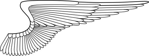 Small - White Wing Right Png (600x227), Png Download