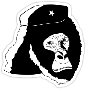 Harambe- Haramche - Harambe (375x360), Png Download