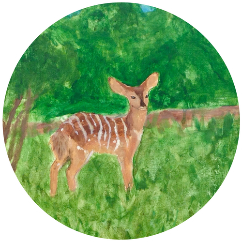 Class Schedule - Imagination (500x500), Png Download