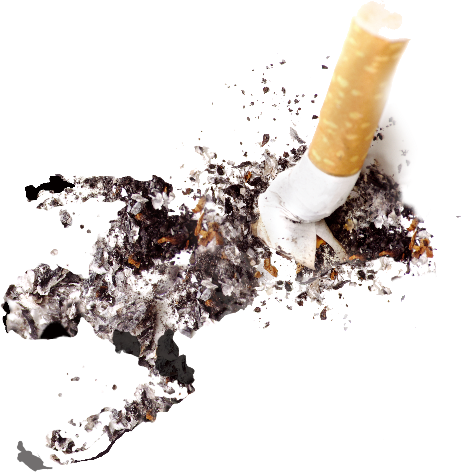 Cigarette Ashes Png - Cigarette Ash Png (1798x2136), Png Download