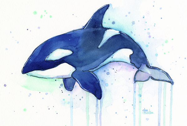 Click And Drag To Re-position The Image, If Desired - Killer Whale Watercolor Painting (600x404), Png Download