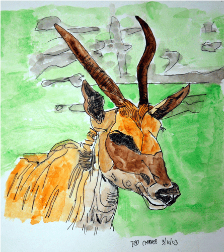 Watercolor Animal - Watercolor Painting (700x500), Png Download