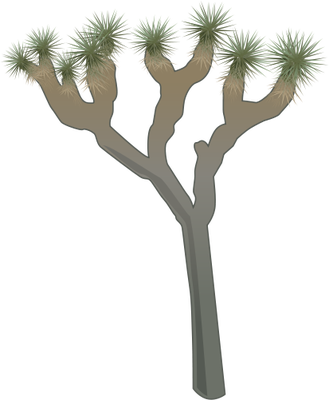 Ian Symbol Yucca Brevifolia - Joshua Tree Drawing (329x400), Png Download