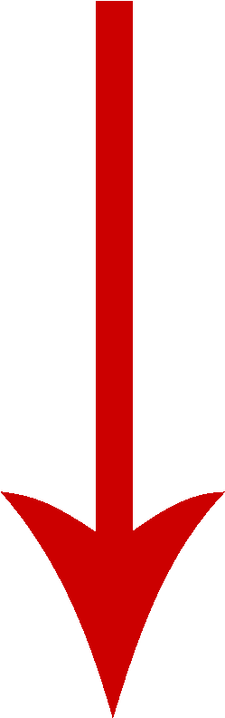 Scroll Down For The Quiz Scroll Down Arrow Png - Long Red Arrow Png (600x800), Png Download