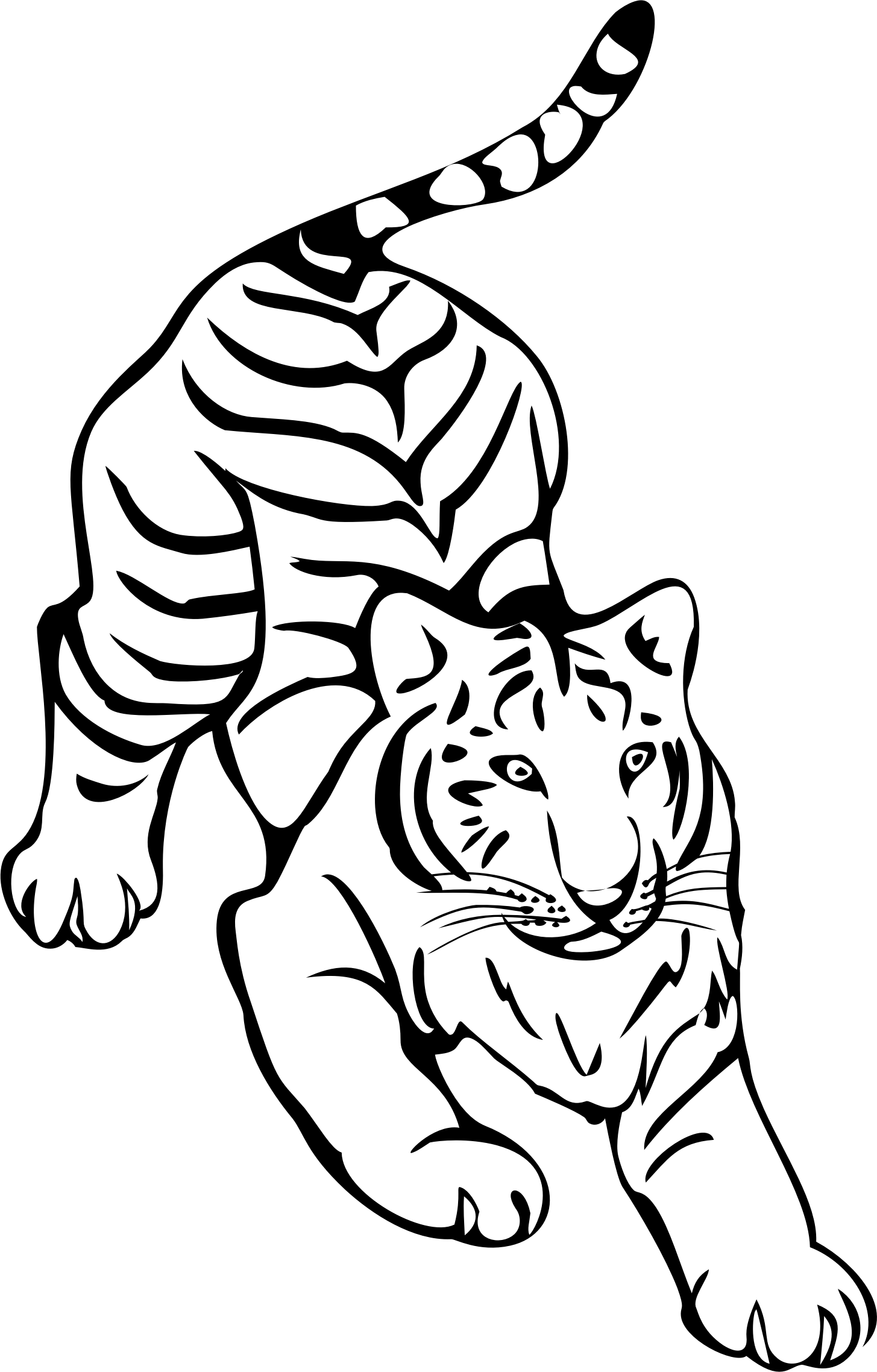 Tiger Png Clipart - Tiger Png Black And White (1455x2276), Png Download