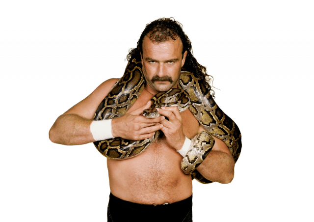 Jake "the Snake" Roberts In His Wrestling Salad Days - Jake The Snake Roberts Png (640x452), Png Download