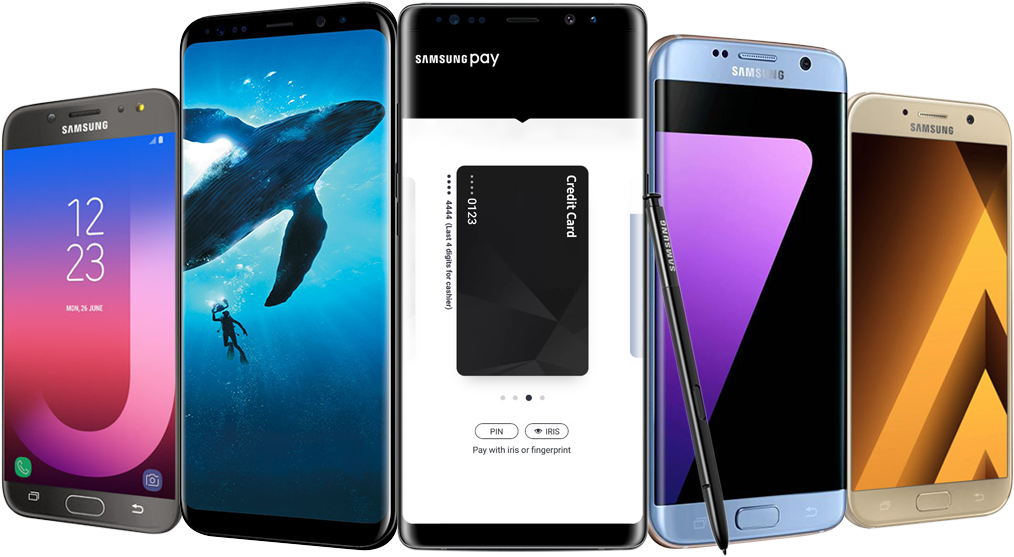 Samsung Mobiles - Samsung Galaxy S8 Plus (coral Blue, 64gb) Mobile Phone (750x410), Png Download