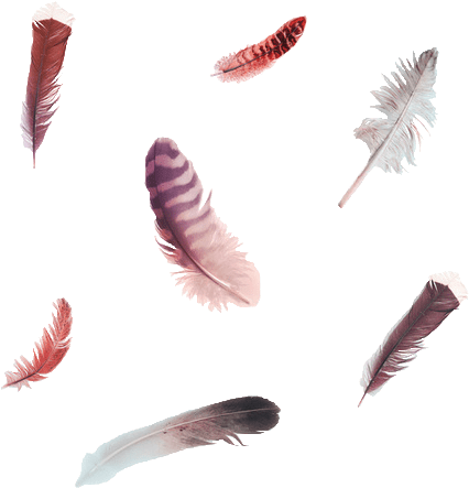 Falling Feathers - Feathers Art Print - Mini By Okti (500x500), Png Download