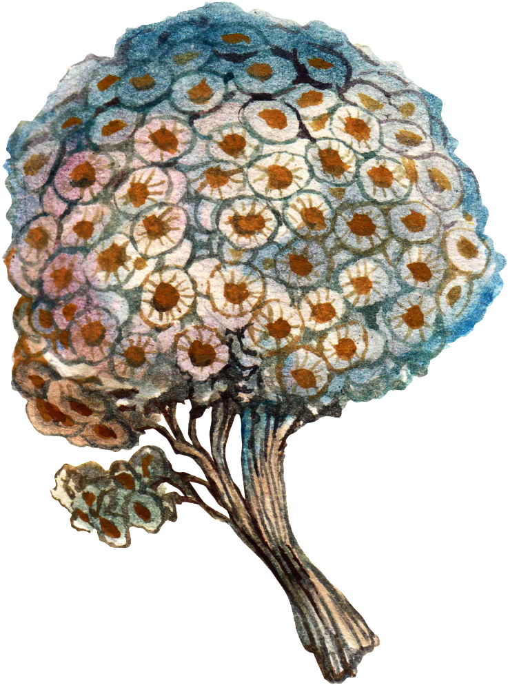 Trees Cartoon Transparent Watercolor Png - Watercolor Painting (1024x1308), Png Download