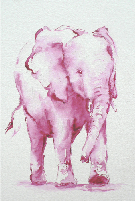 Baby Run - African Elephant (700x700), Png Download