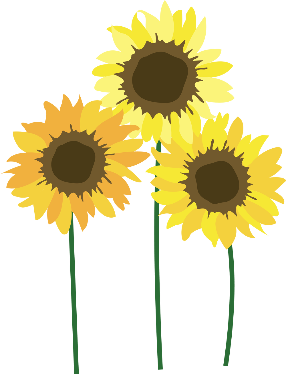 Sunflowers Png Free On Mbtskoudsalg - Sunflowers Png (1000x1306), Png Download