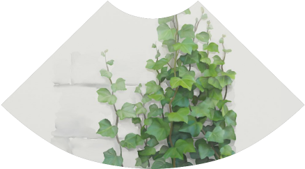 Watercolor Vines, Climbing Plant Atalanta Sundress - Creeper Plants And Paintings (500x500), Png Download