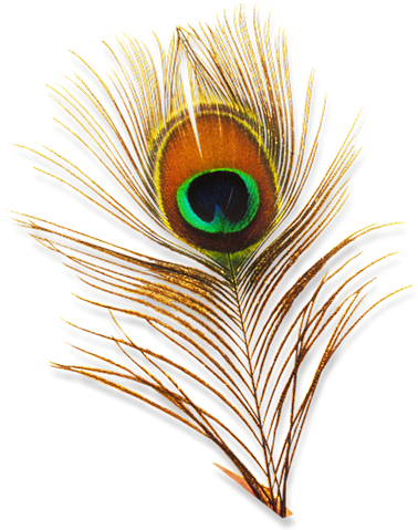 Click To Enter - Png Designs For Photoshop (396x490), Png Download