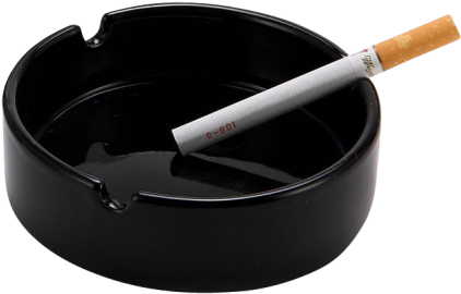 8 Months Ago 292 29 - Ashtray Png (480x337), Png Download