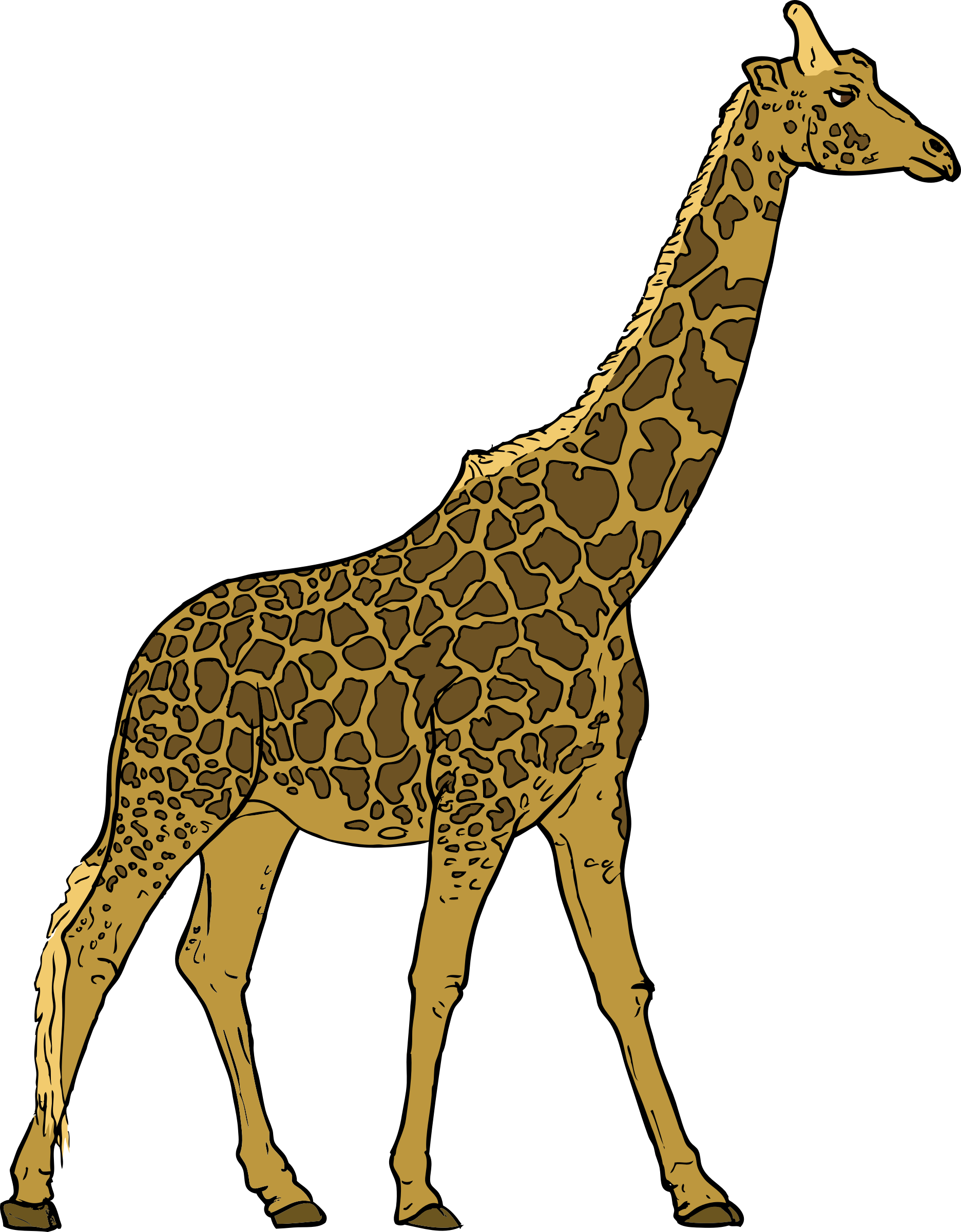How To Set Use Giraffe Svg Vector (462x592), Png Download