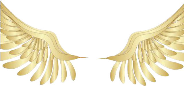 Angel Wings Png - Unique Furniture (640x480), Png Download