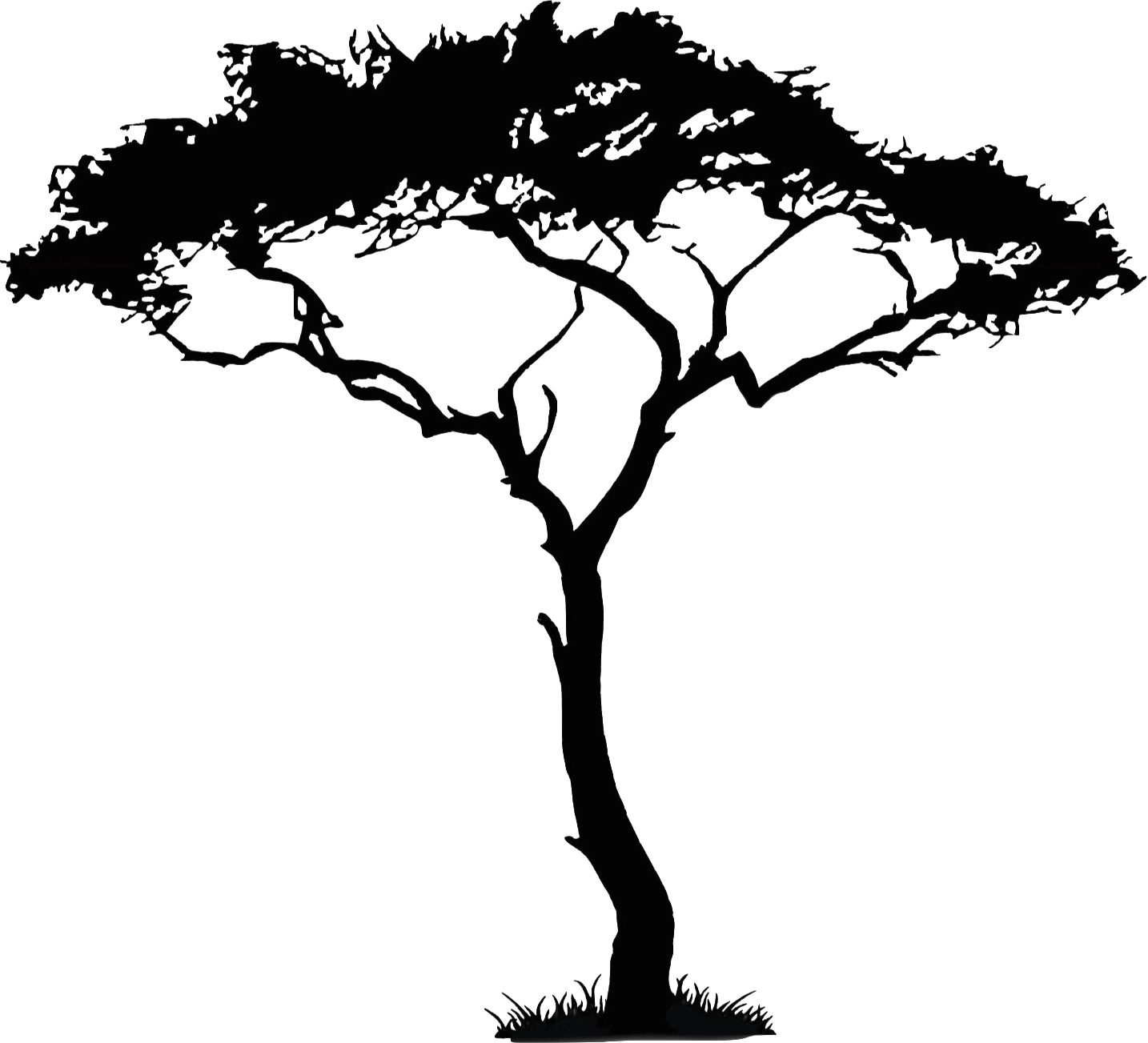 Download Acacia Tree Vector African Trees Transparent PNG Download