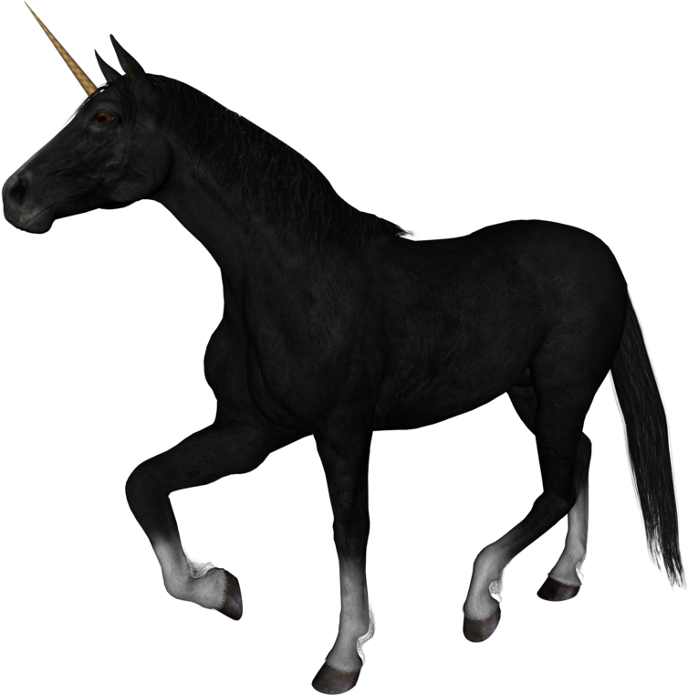 Unicorn Photoshop (1000x800), Png Download