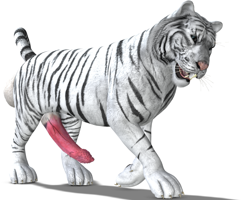 Tiger (925x693), Png Download