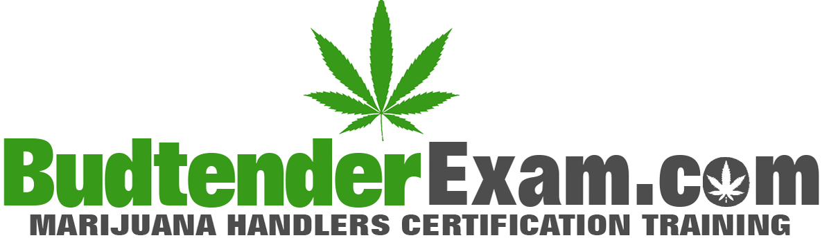 Training (1196x344), Png Download