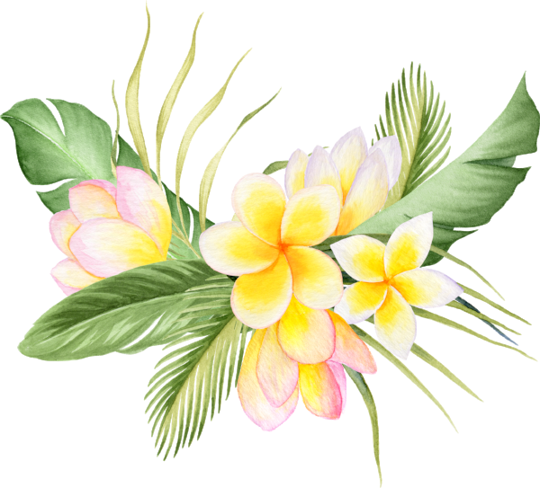 Bouquet2 - Watercolor Painting (600x543), Png Download