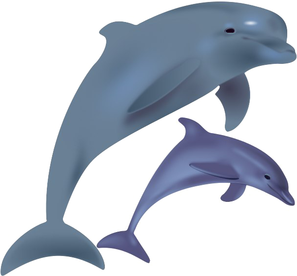 Dolphin Png Background Image - Jumping Dolphin Clip Art (618x581), Png Download