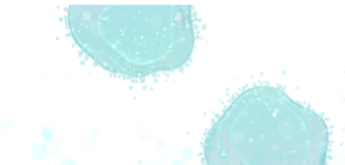 Bubbles Foreground-1200x576 - Circle (1200x576), Png Download