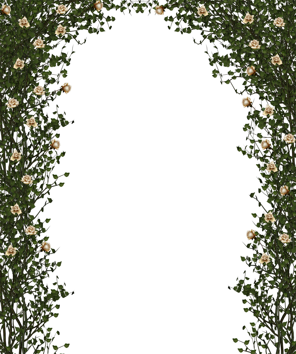 Rose Bush Border (1035x1237), Png Download